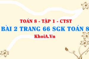 Bài 2 trang 66 SGK Toán 8 Tập 1 Chân trời sáng tạo